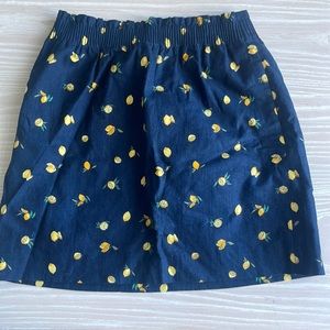 J. Crew size 8 skirt